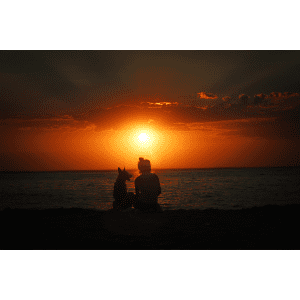 Chien et son humain assis devant un coucher de soleil
