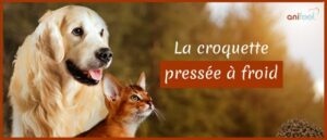 Lire la suite à propos de l’article La croquette pressée à froid