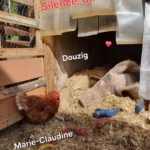 douzig_marie-claudine