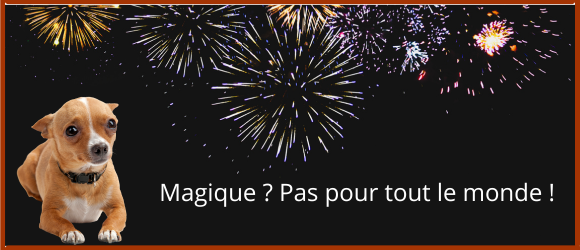 feu d'artifice et chien apeuré