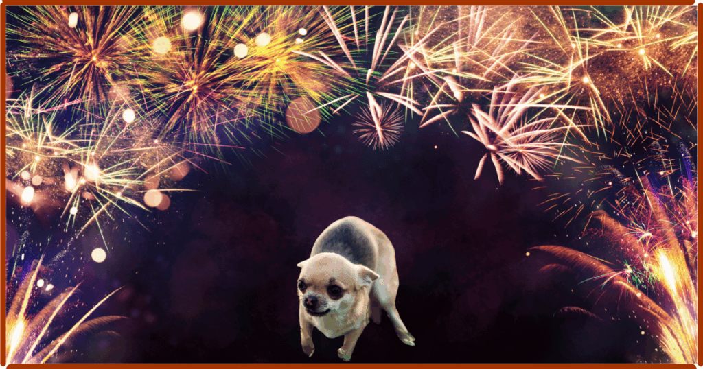Lire la suite à propos de l’article Feux d’artifice : un cauchemar pour les chiens