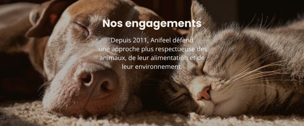 Les engagements éthiques d'Anifeel